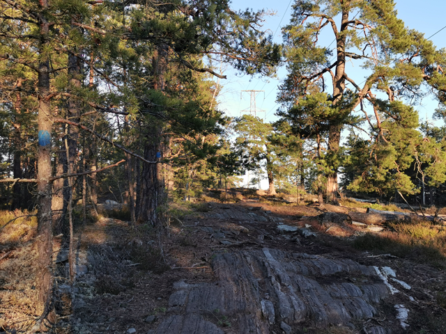 stigcykling vid Hellasgården