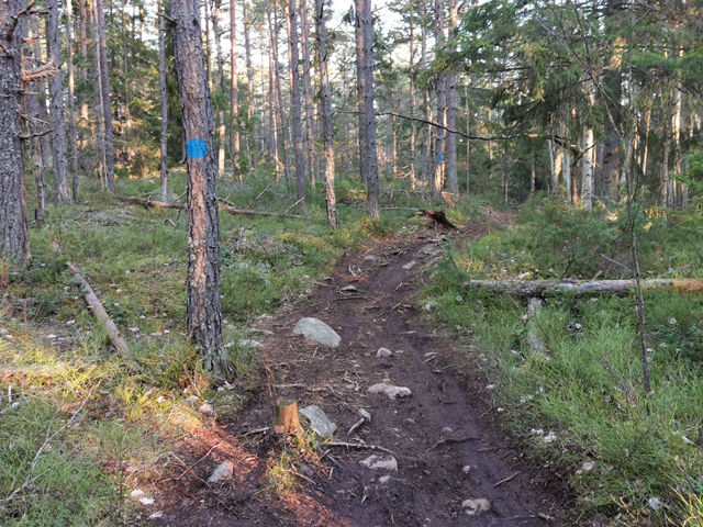 Mountainbike vid Hellasgården