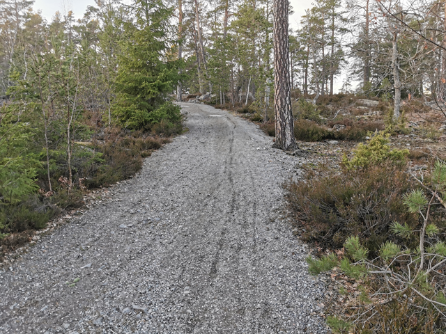 Mountainbike rental at Hellasgården