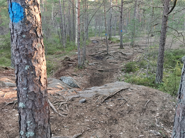 Uthyrning av mountainbike vid Hellasgården