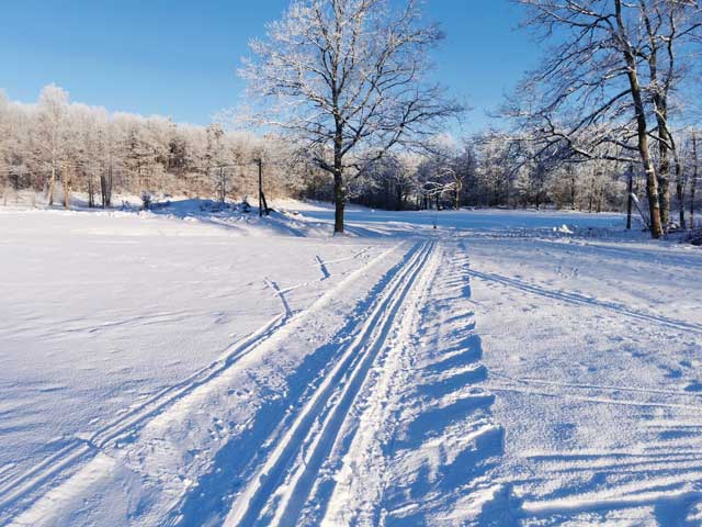 Featured image for “Fina skidspår – skiduthyrningen öppen från fredag”