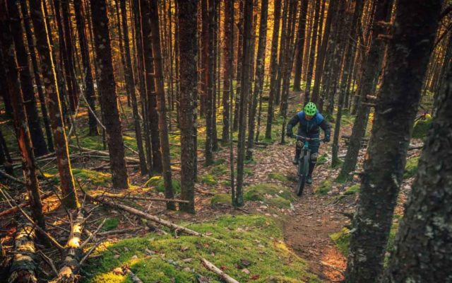 Featured image for “Njut av reservatet på en MTB eller från en kajak”